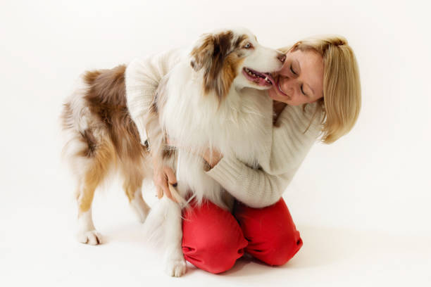 istock Woman and Australian Shepherd Dog having fun 1432046885