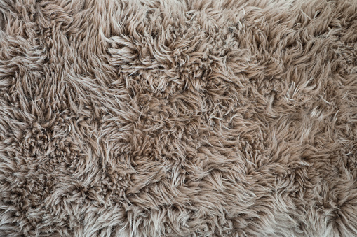 Cozy thick gray shag rug texture in close detail