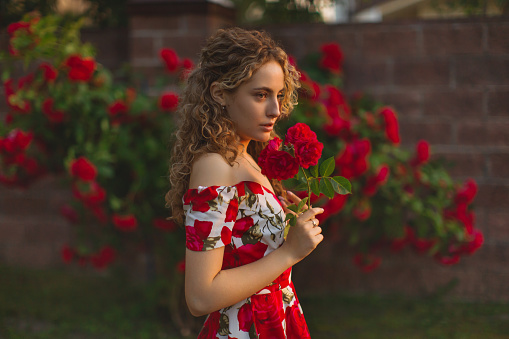 Curly redhead model on summer nature background. Spring rose flower garden. Fabulous woman in dress. Awesome flowers wall. Blonde lady. Portrait. Trendy look. Modern art. Sunset light. Roses bush