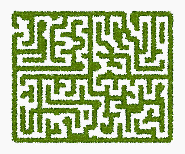 istock Maze of green hedge top view on white background 1432058730