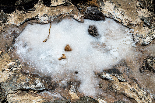 Photograph of Sea Salt formed on the island of Oahu, Hawaii.