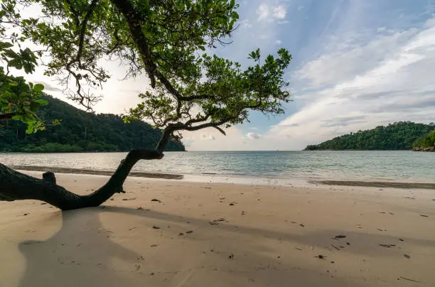 Photo of Beautiful Mai ngam beach in Koh Surin national park, the famous free driving spot in Pang Nga, Thailand.