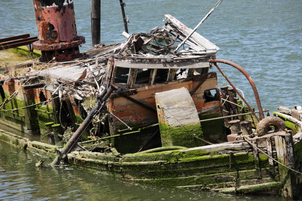 A tightly cropped partial image of the algae-covered shipwreck of the Mary D. Hume steamer at Gold Beach, Oregon, near the  mouth of the Rogue River.  Part of the bow and most of the stern are cropped from the horizontal frame, bringing the mid-section up close - showing the ruins of the cabin, hull and deck.  The ship is positioned diagonally in this image, aft at upper far left to foredeck at bottom right.   Some lightly rippled water appears in the foreground and background.