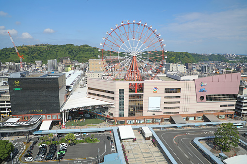 Cherry blossoms were lined up neatly in Goryokaku.