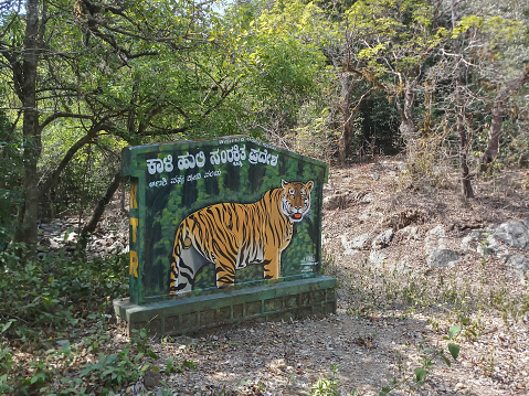 A tiger, Panthera tigris, on the sign board at Karnataka tiger reserve. The road goes through deep forest of the famous tiger reserve. Shot at forest of Karnataka, India.