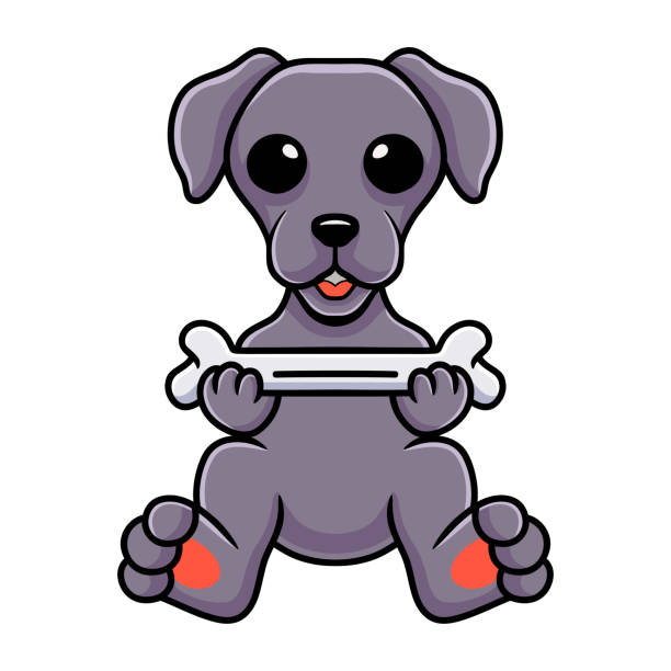 uroczy pies weimaraner kreskówka trzymający kość - weimaraner dog animal domestic animals stock illustrations