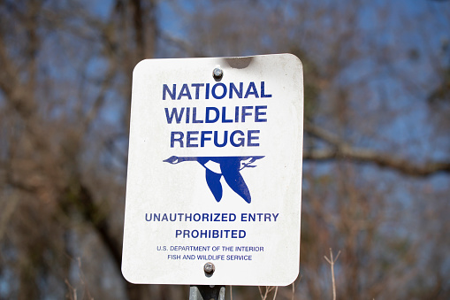 Black Bayou National Wildlife Refuge, Monroe, Louisiana/USA   March 07 2021: U.S. Department of Interior Fish and Wildlife Service National Wildlife Refuge sign at the Black Bayou Lake National Wildlife Refuge.