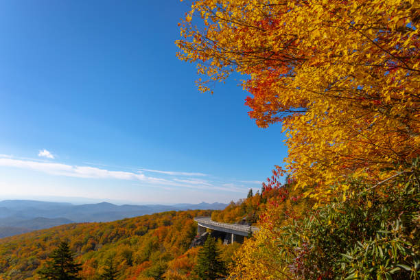 istock Autumn on the Blue Ridge Parkway 1432096026