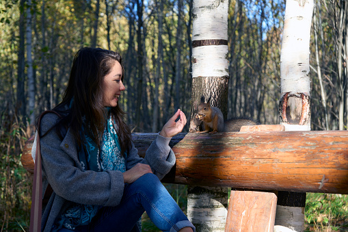 Girl feeding squirrel in autumn park. Red Squirrel eats nuts from woman hand