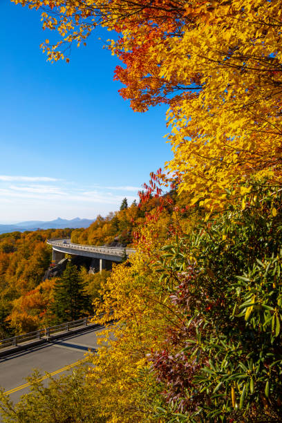 istock Autumn on the Blue Ridge Parkway 1432096601