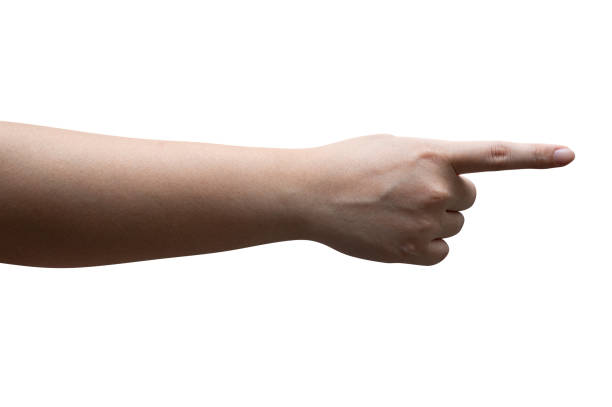 istock Woman hand touching or pointing to something isolated. 1432098720