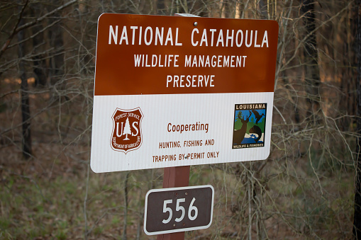 National Catahoula Wildlife Management Preserve, Kisatchie National Forest, Louisiana/USA  February 28 2020: Sign for the National Catahoula Wildlife Management Preserve and road 556.