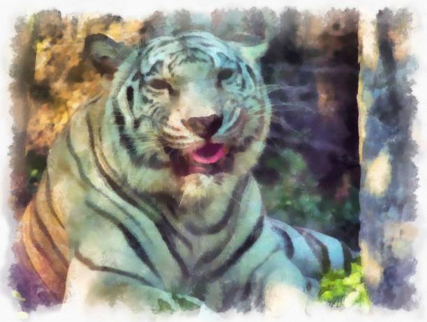 istock white tiger watercolor style illustration impressionist painting. 1432103891