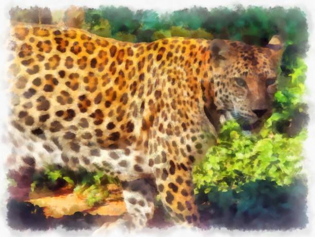 istock The leopard watercolor style illustration impressionist painting. 1432104606