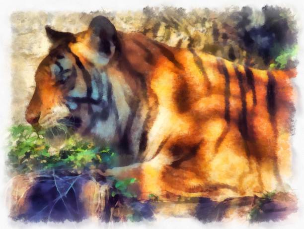 istock The tiger watercolor style illustration impressionist painting. 1432104696