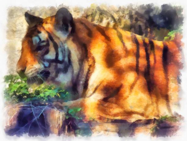 istock The tiger watercolor style illustration impressionist painting. 1432104831