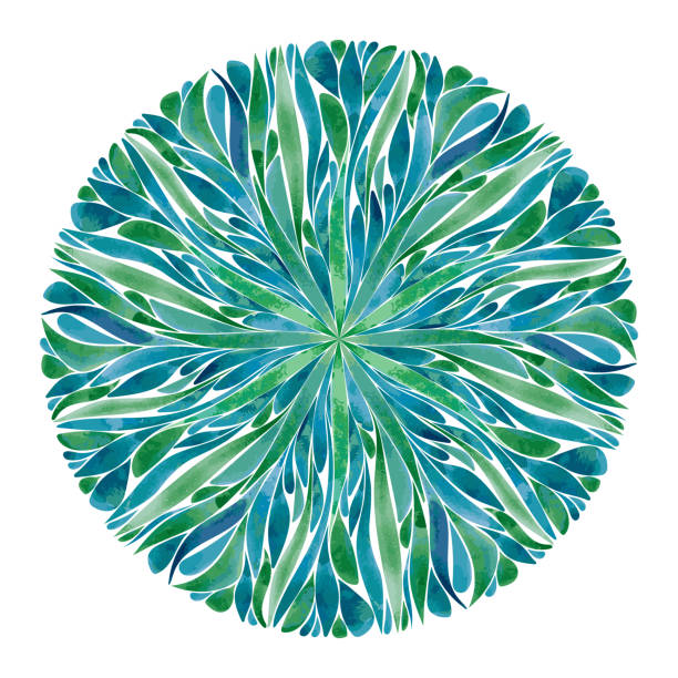 Vector blue green watercolor kaleidoscope of leaves Watercolor leaves ethnic abstract mandala. Circle with Symmetric ornate petals isolated on white background. Hand painted round kaleidoscope illustration ornamental grass white background stock illustrations