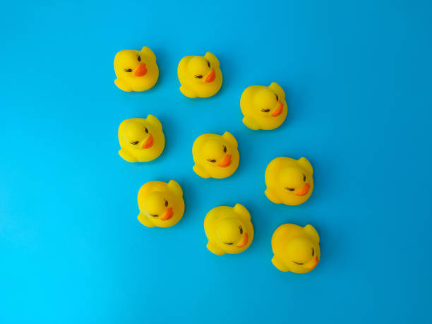 istock A group of toy ducks gathered on a blue background 1432107990