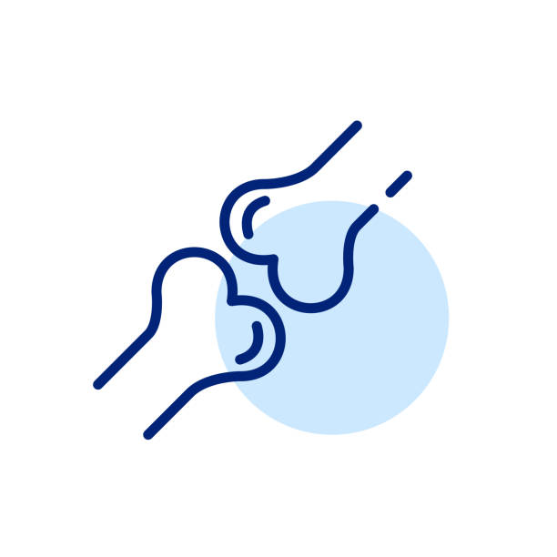Knee joint. Two bones. Pixel perfect, editable stroke line icon Knee joint. Two bones. Pixel perfect, editable stroke line art icon femur bone anatomy drawing stock illustrations