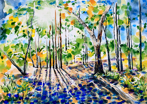 Morning Sunlight shining through silhouetted trees in a forest. An original painting by Judi Parkinson in Mixed Media - watercolor, pen and ink, paraffin. Hervey Bay Botanical Gardens, Queensland.