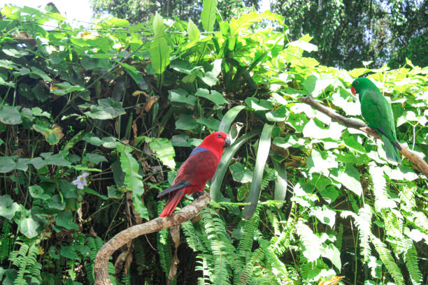 istock beautiful bird in the zoo 1432117828