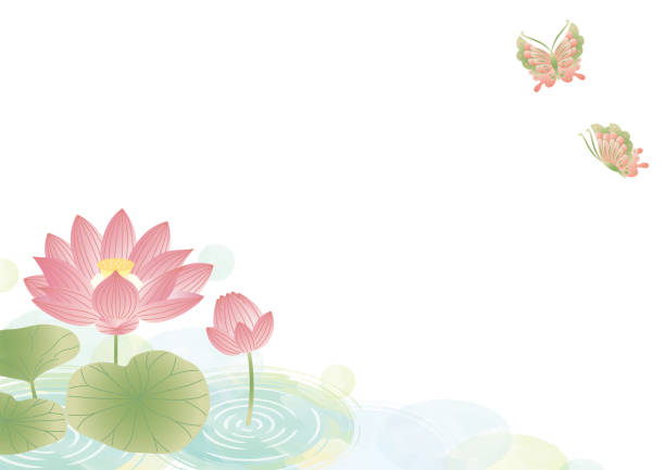 오봉 오이건 템플릿 배경 연꽃 - floating on water petal white background water stock illustrations