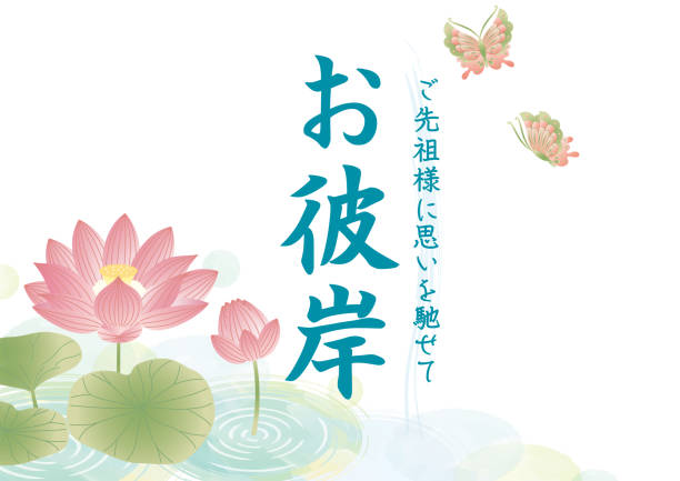 illustrazioni stock, clip art, cartoni animati e icone di tendenza di obon ohigan modello sfondo fiore di loto - floating on water petal white background water