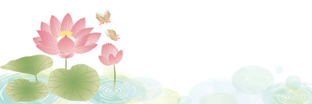 오봉 오이건 템플릿 배경 연꽃 - floating on water petal white background water stock illustrations