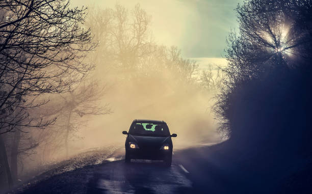 istock Car driving on forest road in sun beams 1432122449