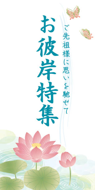 오봉 오이건 템플릿 배경 연꽃 - floating on water petal white background water stock illustrations