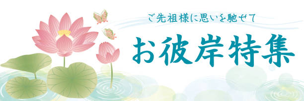 오봉 오이건 템플릿 배경 연꽃 - floating on water petal white background water stock illustrations