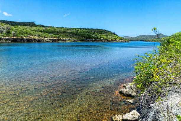 istock Goto Lake-Bonaire 1432124329