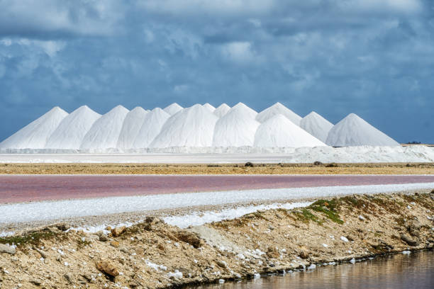 istock Salt flats in Bonaire (netherlands antilles). 1432125398