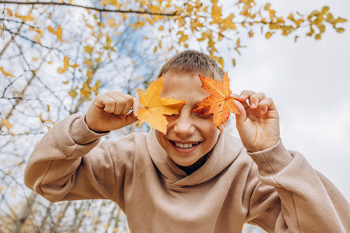 Happy beautiful little by having fun during autumn throwing leaves to the air - Lifestyles
