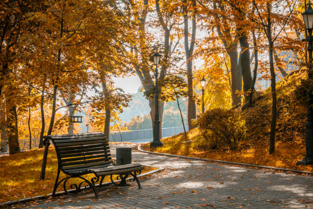 istock Bench in the beautiful autumn park. 1432128998