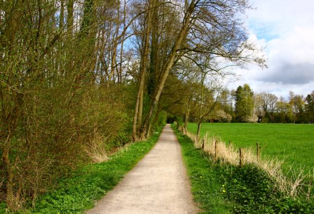 istock Spring at the Bad Zwischenahner Meer 1432132463