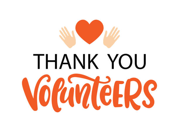 Thank You Volunteers Vector Lettering Banner Thank You Volunteers Vector Lettering Banner. Background with hands and heart, modern calligraphy isolated on white. Volunteering service sign. teamwork slogan stock illustrations