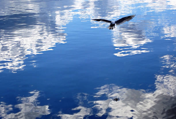 Artistic photo art from outdoor in the nature