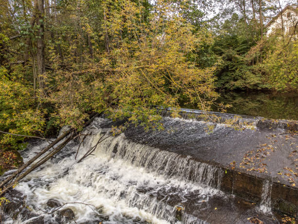 istock A view of a small, wild river in central Poland. 1432141074
