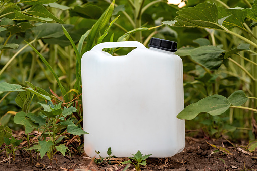 Blank mockup white plastic jug for herbicide chemical in cultivated sunflower field, selective focus