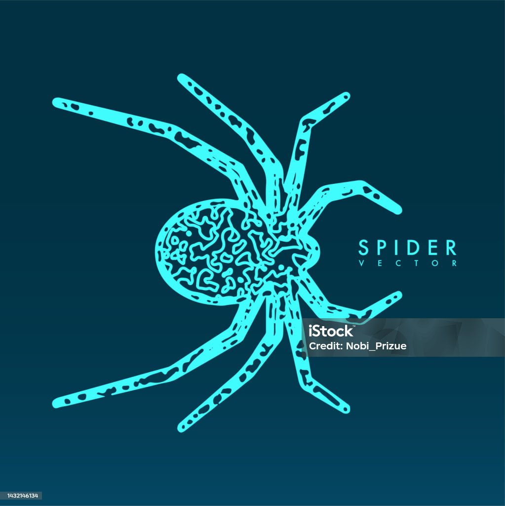 Abstract Spider Model Abstract Spider Illustration Stock Illustration - Download Image Now ...