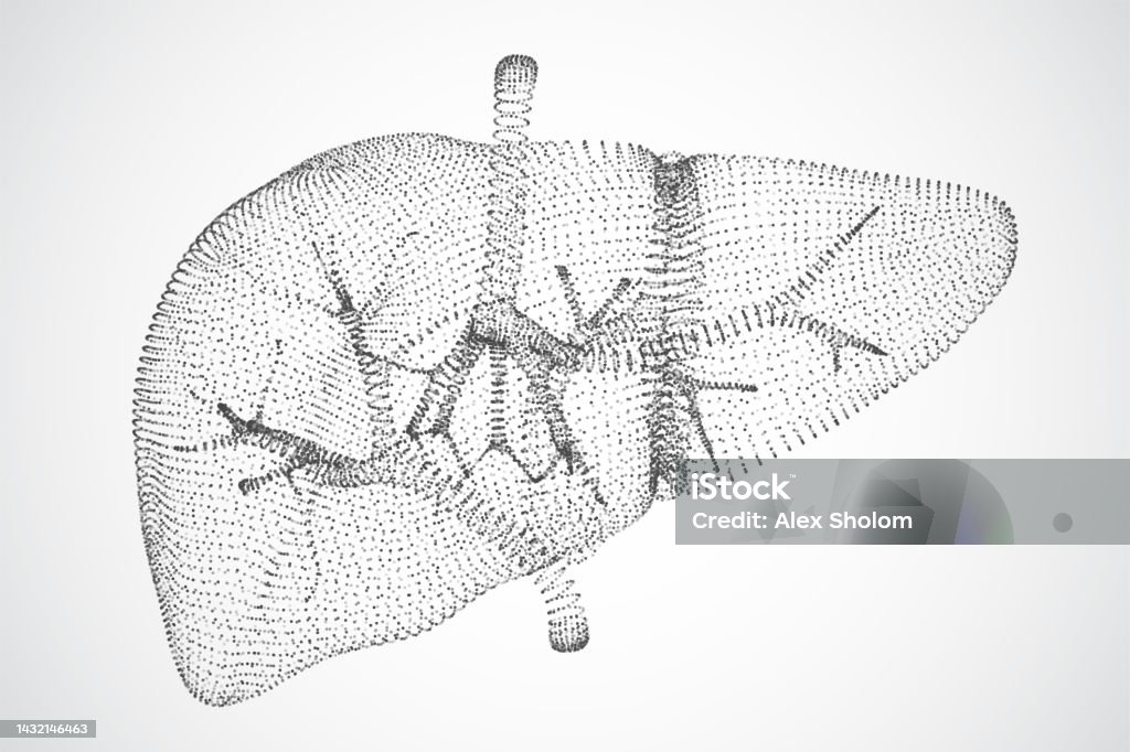 Abstract Liver Vector Abstract Background Of Dots And Glows Human Liver Stock ...