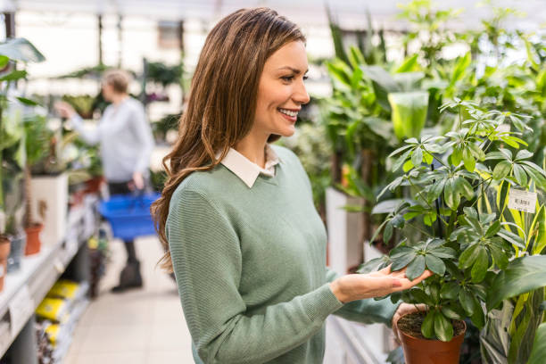 istock Woman in flower center 1432147714