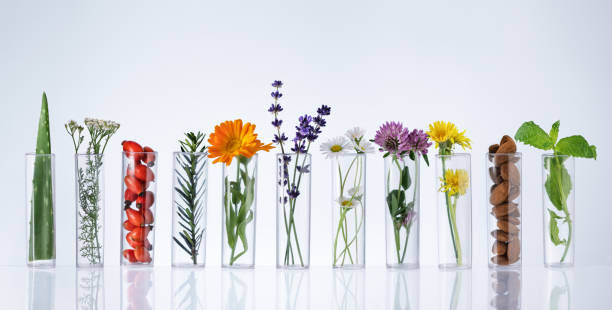 probówki z ziołami na białym tle. koncepcja ziołolecznictwa. - lavender lavender coloured flower homeopathic medicine zdjęcia i obrazy z banku zdjęć
