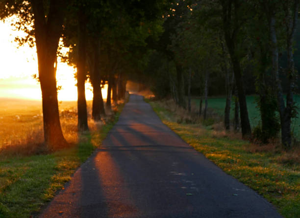 istock Rural sunrise casts it's light rays on a small street 1432148942