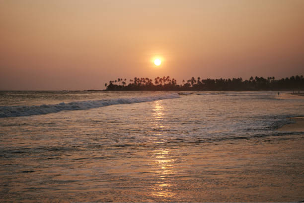 istock Sunset on the ocean in Sri Lanka 1432151881