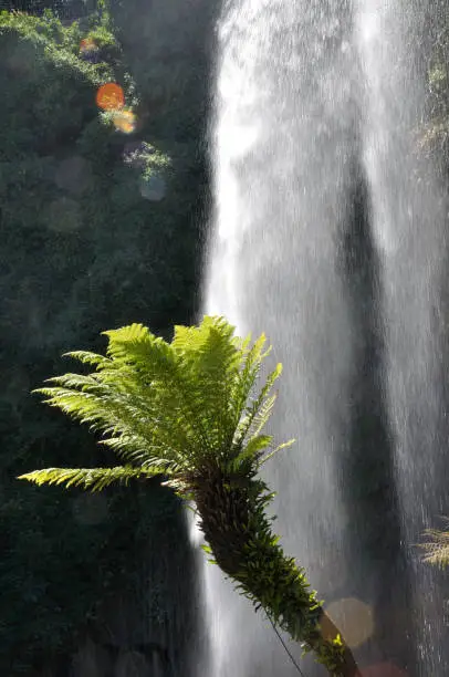 Photo of Jardin Extraordinaire, a garden in Nantes