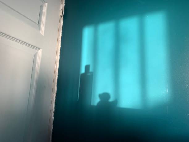 A shadow of a a rubber duck and shampoo.