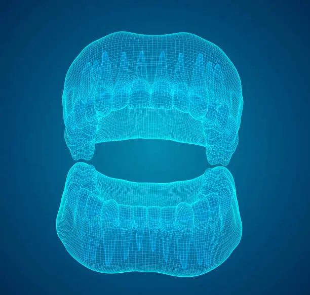 Vector illustration of human jaw. 3d vector layout. medicine and health
