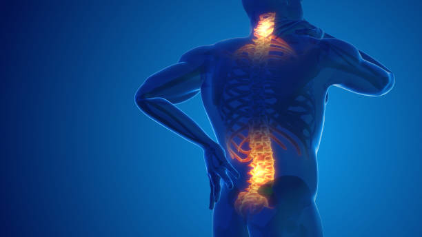 pain in the back and neck joint 3d illustration - inflammation imagens e fotografias de stock